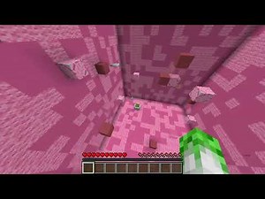 ¿QUE PASO CON FLEXVEGA?