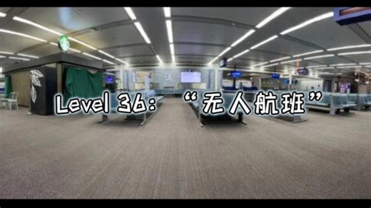 【后室Backrooms】Level 36 “无人航班”