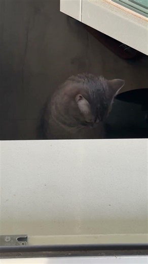 Bobby is still not coming out.