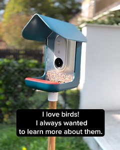 151 reactions · 40 shares | Feeding the birds  has never been more fun! Bird Buddy is a smart bird feeder that notifies you of your backyard visitors (and lets you know when the feed is low). Get yours today & show the birds you care.  | Birdbuddy | Facebook