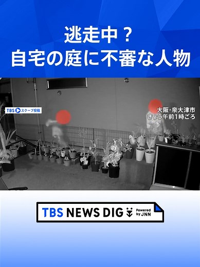 「来てない？行こう」逃走中だった？自宅の庭に3人組の不審な人物が… フェンス破壊・植物折れる被害も 防犯カメラが一部始終を激撮 #tbs #tiktokでニュース