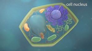 Austin Visuals is an award winning, full-service 2D & 3D Animation Studio and creative agency. It is specialized in creating affordable explainer Videos to grow your business, sell your products & services. https://austinvisuals.com/ info@austinvisuals.com #animation #MarketingMagic #motiongraphics #explainervideocompany | Austin Visuals 3D Animation Studio | Facebook