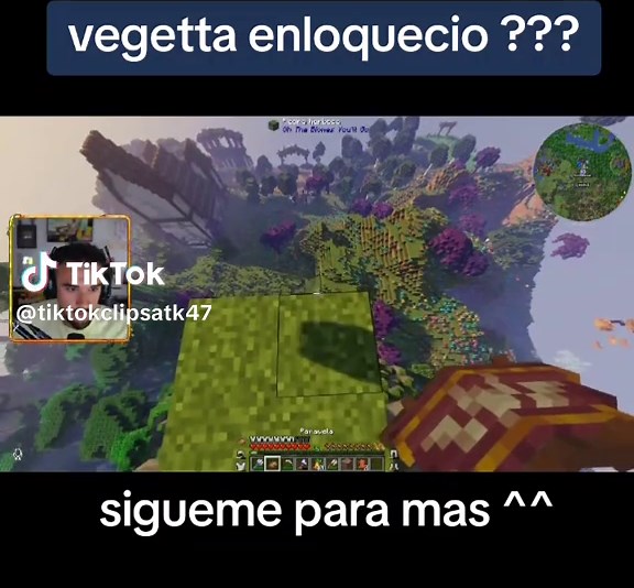 Locuras de Vegeta777 en Minecraft: Construcciones y Más