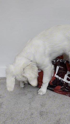 The Next sale is now ON! 🚨 Shop amazing discounts on 1000s of items across fashion & homeware | Next