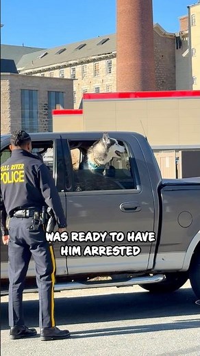 Husky Blames the Cop for Ruining His Day 😂 #shorts