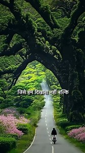 🥹Best powerful motivational quotes and thoughts😔💯 #motivational #motivation #motivationalquotes #inspiration #quotes #success #inspirational #inspirationalquotes #love #quoteoftheday #mindset #successquotes #life #entrepreneur #positivevibes #positivity #inspire #quote #goals #lifestyle #instagram #instagood #selflove #lifequotes #happiness #believe #motivationalquote #motivationalspeaker #business #instadaily #loveyourself #motivationquotes #fitness #motivationmonday #bhfyp #successmindset #