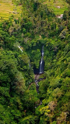 Wonderful Indonesia on Instagram: "Triple the falls, triple the thrill! Fiji Waterfall is Bali’s hidden gem, featuring three cascades in one magical spot. 🌿✨ The trek? Adventurous. The reward? Totally worth it. Immerse yourself in lush jungle vibes and feel the cool mist on your skin! 🌊 Who’s ready to chase waterfalls and snap the ultimate travel pic? 📸 Save this for your Bali bucket list! 📍 Fiji Waterfall, Lemukih Village, Bali 📷 @sajbi_cestuje #WonderfulIndonesia #WonderfulJourney #BaliAd