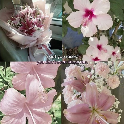 Mwahh || #fypシ #haileyandash4everrr #imisshim #prettyboy #real #yeahhhhh #cutesy