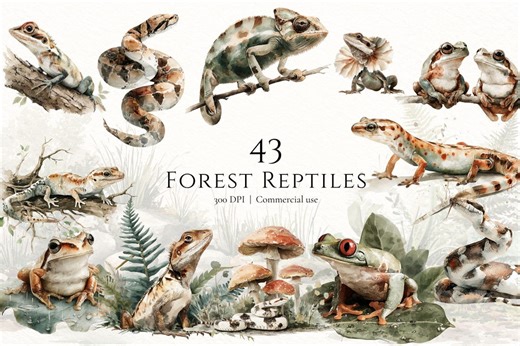 Forest Reptile Clipart Watercolor Frog Snake Lizard PNG Frog Clipart Tree Frog PNG Reptile Clipart for Cricut Sticker Design Commercial Use - Etsy Singapore
