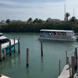 78 reactions | Experience the best of Florida on our 60-minute Dolphin & Wildlife Boat Tour! Book now to discover Clearwater Bay, meet dolphins up close, explore a bird sanctuary island, and witness seasonal wildlife sightings. | Clearwater Marine Aquarium | Facebook