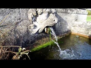 Pentax X-5 Test Video