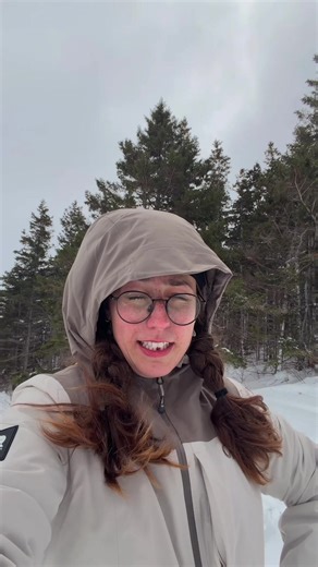 if you comment on the fact there is a bit of chocolate between my teeth i will cry and i will be sad that you focused on that instead of my really funny an clever joke the joke is like spruce it up is a saying that means to make things nicer but i’m actually LITERALLY adding spruce trees to my background. these ones are red spruce and they’re nova scotia’s provincial tree. i like trees :) #joke #pun #tree #sprucetree #fyp