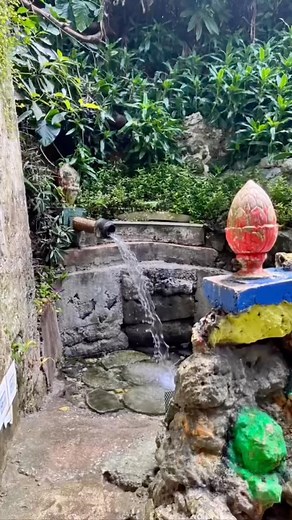 Be daring to embrace life's chill, diving deep into nature's hidden beauty right here in Barbados. 🌊💦 📍Porey Springs, St. Thomas #VisitBarbados #LoveBarbados #MyBarbados | Visit Barbados