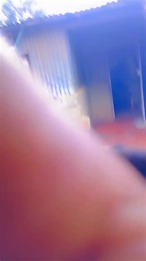 Carol thy dread maker (@carolinemuhinga)’s videos with Tamu - Iyanii