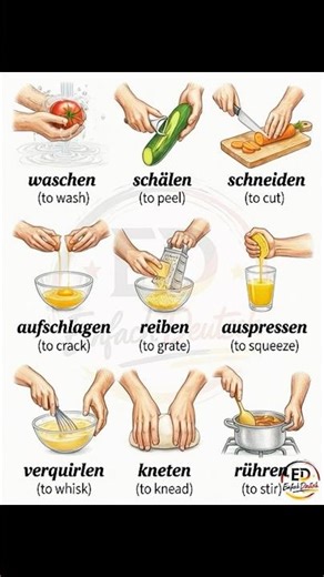 Daily German Lesson 🇩🇪 | einfach Deutsch #deutsch #einfachdeutsch #youtubeshorts
