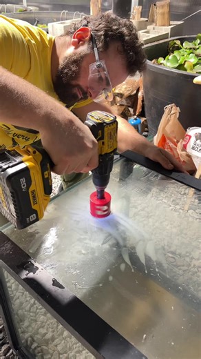 I always heard that you can’t drill these Aqueon tanks, but I didn’t believe it, until now. Looks like you really can’t lol, I believe it’s because it’s tempered glass. Anyway, you saw it here for good, can’t drill these tanks. Rip tank. #fish #aquarium #ranchu