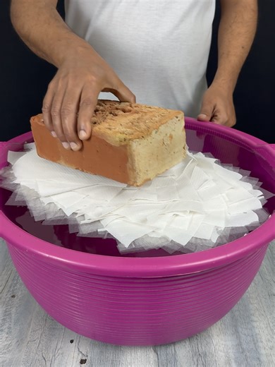 Water Experiment with Tissue Paper: A Fun Challenge