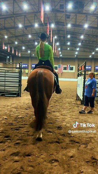 Western Pleasure: Showcasing Paint Horses