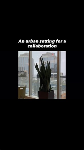 Taking advantage of a downtown Halifax setting to work on a new collaborative project, to be announced. | CartographMe | Facebook