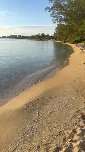 17K views · 135 reactions | Who remembers Adelaide beach? My first time visiting since I was a child wow, I was told it’s infested with sharks and other sea animals. Rediscovered while campaigning in Golden Isles. | Linda Christina Stubbs | Facebook