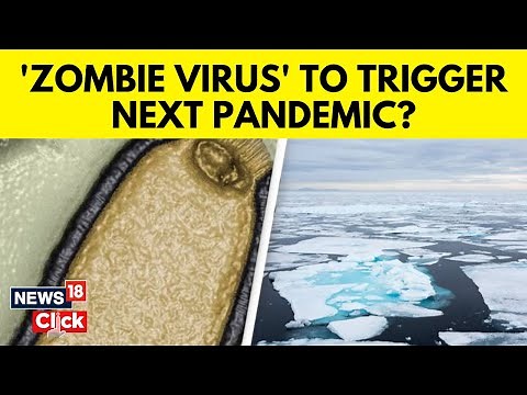 'Zombie' Virus Which Spent 48,500 Years Frozen In Arctic Could Spark Deadly Pandemic | N18V