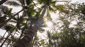 218 reactions · 25 shares | We’re gearing up for something truly...