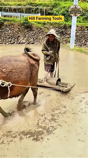 Using Hill Farming Tools for Rugged Terrain Efficiency ⛰️🌱