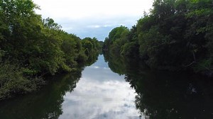 Forest River Aerial View