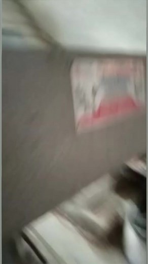 6K views · 34 reactions | Kapas Grinding machine, Cotton seed grinder machine ☎️+91 89628 26650 | Punjab Engineering Corporation | Facebook