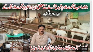 236K views · 10K reactions | Rana Asif Goat Farm || Goat farming tips || How to start profitable goat farm | Farming Tips | Facebook