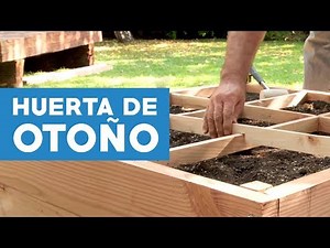 Cómo hacer una huerta de otoño en 1m2