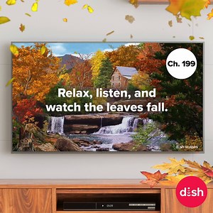 7.4K views · 58 reactions | This month relax with a peaceful creek flowing through the late autumn woods beneath a water mill. https://my.dish.com/upgrades/dishscapes | DISH | Facebook