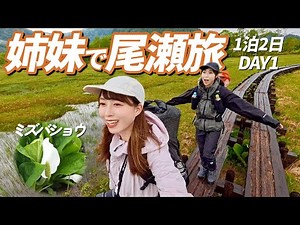 【尾瀬ハイキング】雨の尾瀬ヶ原で水芭蕉に出会う［鳩待峠-尾瀬ヶ原-見晴｜DAY1］