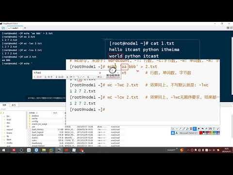 2025年黑马程序员python人工智能开发 01 Python基础 V5 X版 14天 AI版 01 Linux基础 Day02 Linux基础 03 Linux命令 管道 过滤 统计 ev