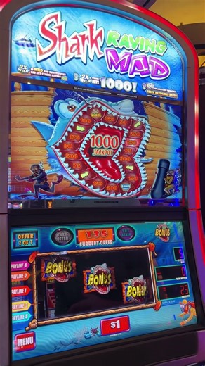 This Shark Bonus Caught Me Off Guard...🦈