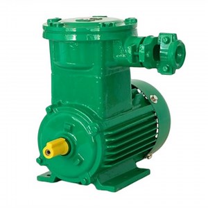 [Hot Item] IEC Standard Ex-Proof Electrical Motor Electric AC Motor Manufacturer