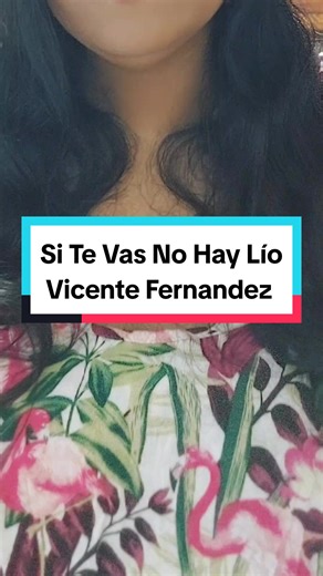 Karaoke de Si Te Vas No Hay Lío por Vicente Fernández