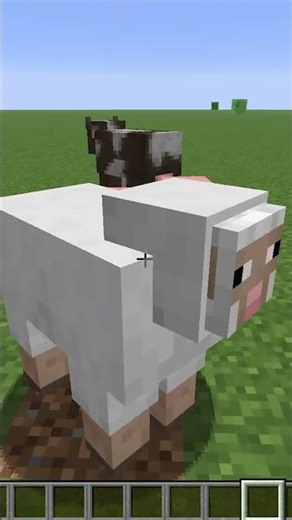 Novos Filhotes do Minecraft #minecraft #shorts