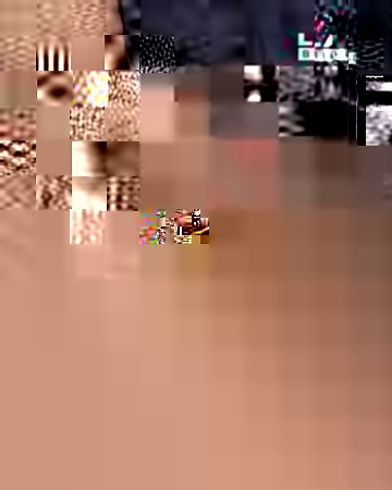 12M views · 35K reactions | The way an armadillo perfectly fits together shows how amazing nature is  | LADbible | Facebook