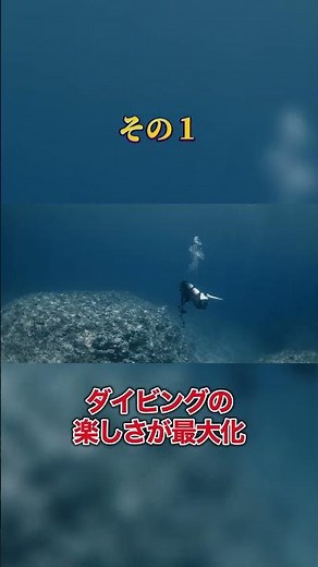 3 Criteria for the "Ideal Diver" According to Guides: Why It Pays Off