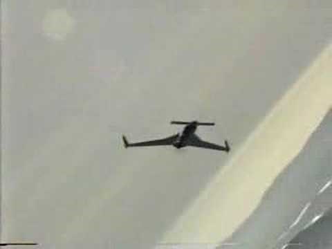 Berkut: A bird with an Attitude