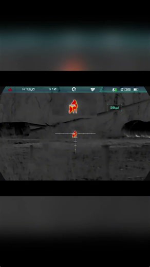 Another coyote trying the room temperature challenge 🤣