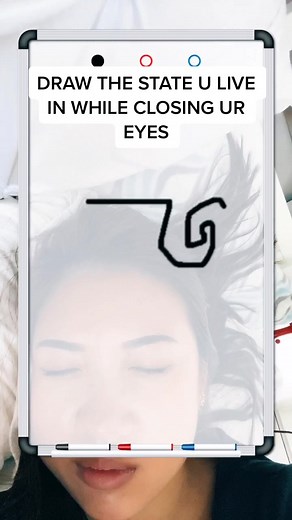 Drawing Your State Blindfolded Challenge