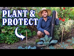 How I Plan, Plant, and Protect My Fall Garden