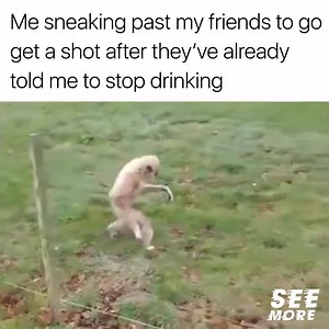 197K views · 477 reactions |  | EPIC FAIL FUNNY Videos | Facebook