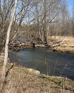 3.2K views · 25 reactions | Mossy Creek Fly Fishing on Reels | Facebook