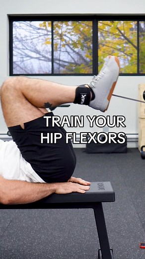 Build Strong Hip Flexors with Reverse Squats