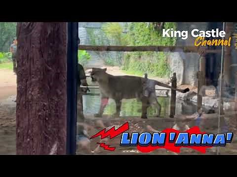 Chaing Mai night safari & Ryokan Hotel