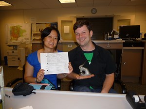 DIY Wedding From Start to Finish