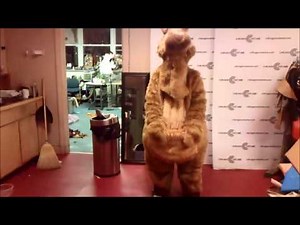 Custom Kangaroo Mascot Costume Brockton Rox